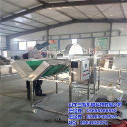 長春娃娃菜自動(dòng)劈半設(shè)備,山東三智機(jī)械,娃娃菜自動(dòng)劈半設(shè)備廠家